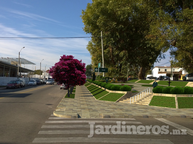 Diseño de plaza