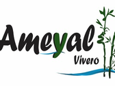 Vivero Ameyal