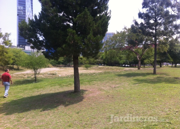 Más Verde Jardinería