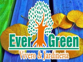 Ever Green