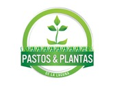 Pastos & Plantas De La Laguna