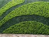 Logo Te Quiero Verde MX
