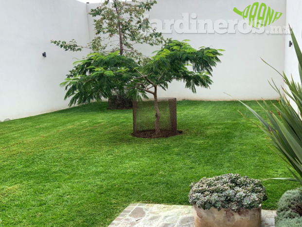 Servicio de jardinería