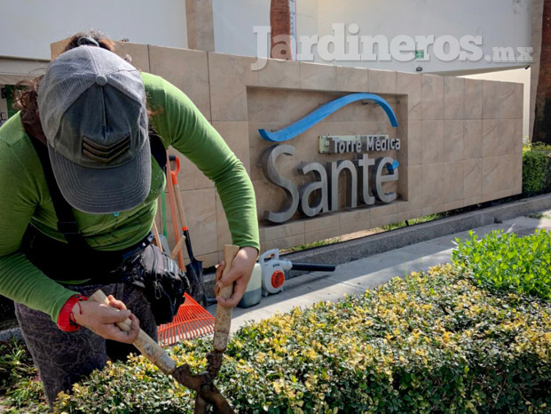 Servicio de jardinería para fraccionamientos y empresas