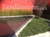 Jardinería Empresarial Erick Garrido