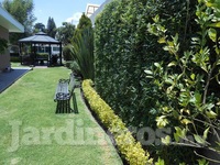 Mantenimiento de jardines - Servicio completo y profesional.