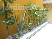 Mantenimiento de jardineras.