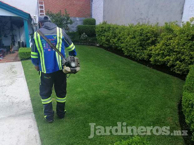 Mantenimiento de áreas verdes 