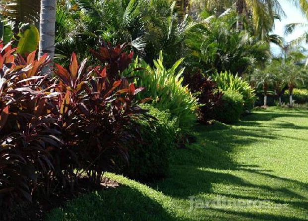 Jardinería