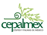 Cepalmex