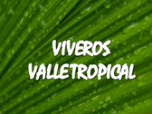Viveros Valle Tropical