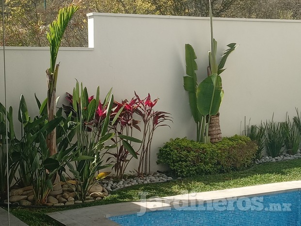 Jardín en casa habitacion