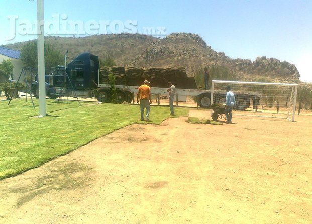 Instalación de pasto en cancha de fútbol