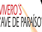 Logo Viveros Ave De Paraíso