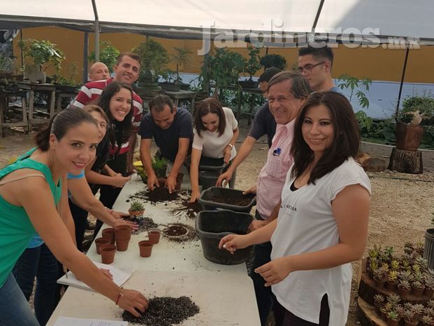 Curso de jardinería básica