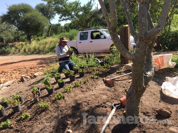 Diseño de jardines