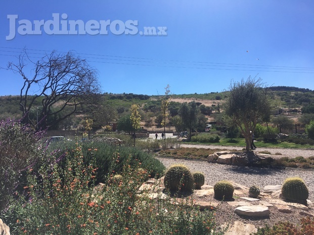 Paisajismo y jardinería_Viñedos Puerta del Lobo.JPG