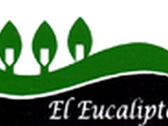 El Eucalipto