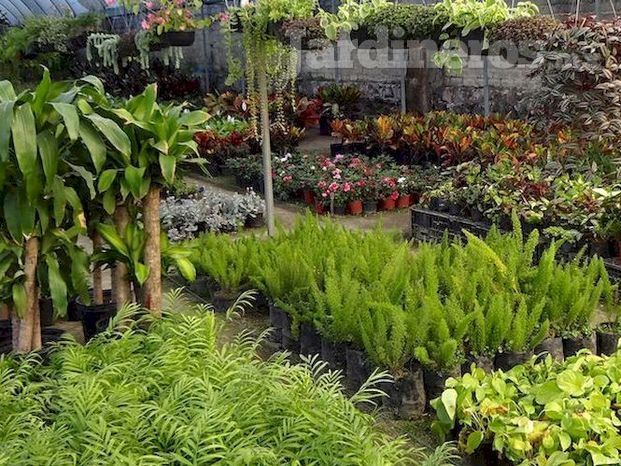 Vivero el Jardín