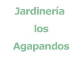 Jardinería los Agapandos