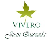 Vivero Juan Quezada