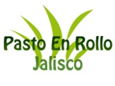 Pasto En Rollo Jalisco