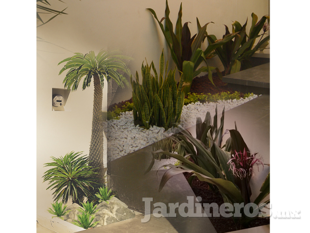 Jardin interior