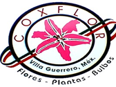 Coxflor