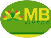 VIVERO MB