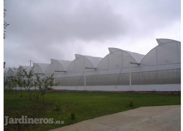 Invernaderos Agsa Agroconstrucciones Y Sistemas De Riego Agrícola