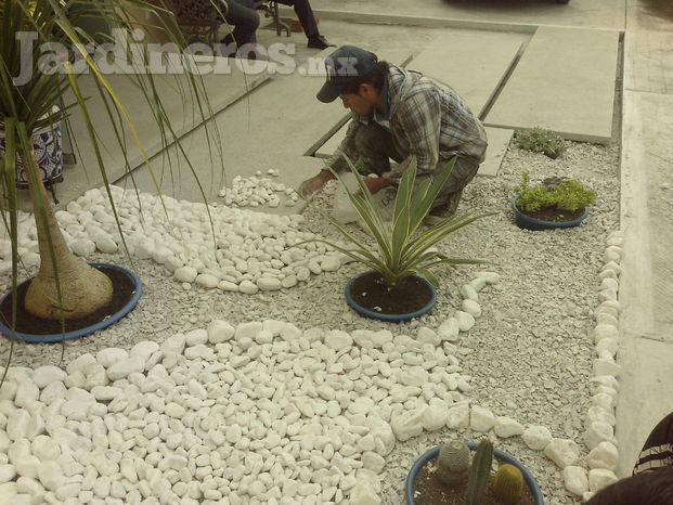 Vanguardistas en jardinería, personal capacitado