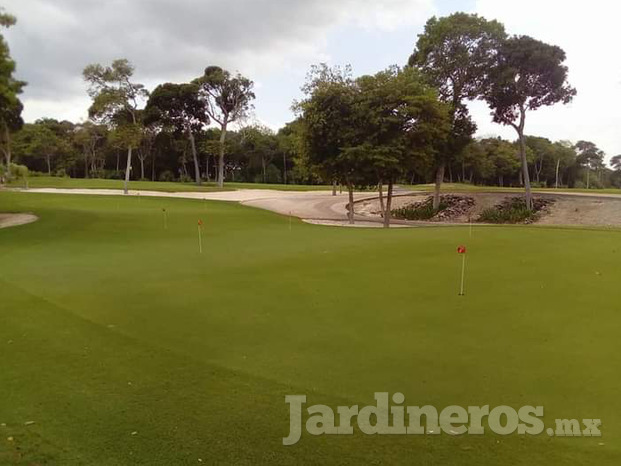 Mantenimiento de campos de golf 