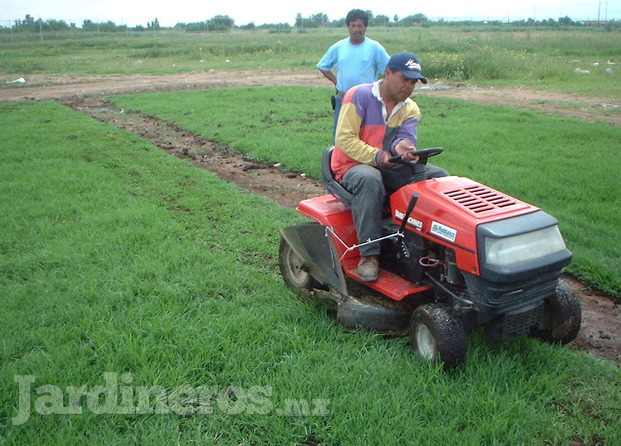 Mantenimiento de áreas verdes