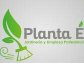 Planta E