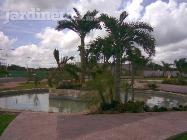 Lago, decorado de palmas y plantas