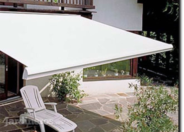 Toldo