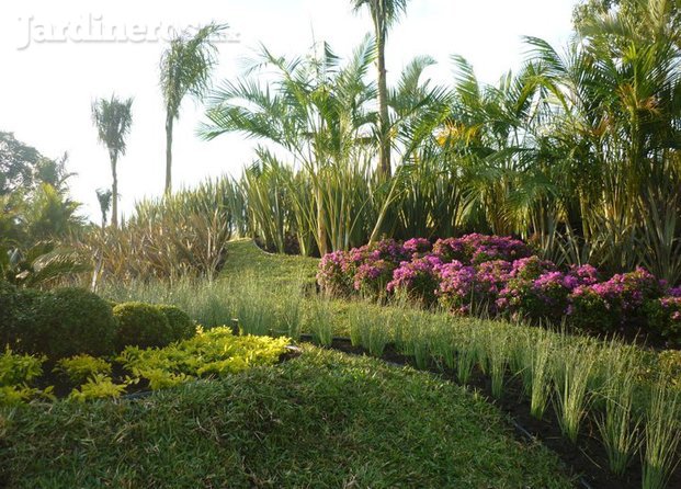 Paisajismo Y Jardinería C