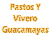 Pastos Y Vivero Guacamayas