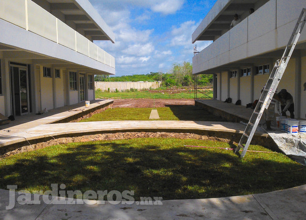 Suministro e instalación de pasto americano en instituto tecnológico Tizimin