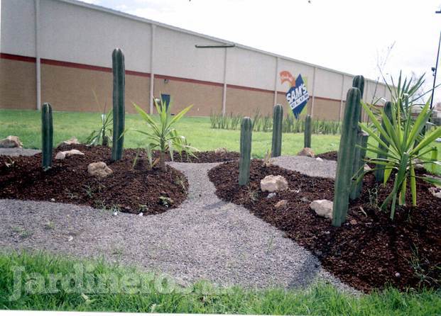 Construcción de todo topo de jardines