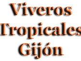 Viveros Tropicales Gijón