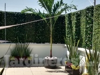 Roof garden, macetas de fibra de vidrio, diseño de jardín, plantas de sol