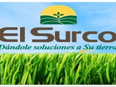 El Surco