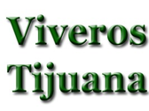 Viveros Tijuana