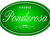 Viveros Ponderosa