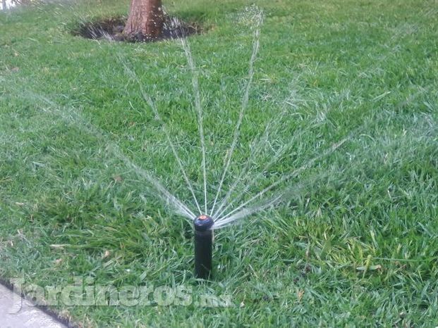 Sistema de riego automatizado 