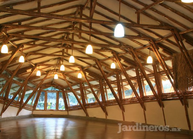 auditorio flor del bosque