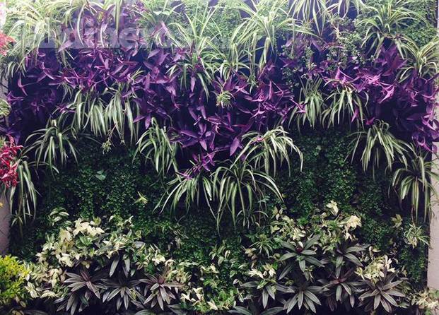 Jardín Vertical