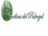 Jardines Del Pedregal