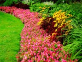 Diseño, Instalacion y Mantenimiento de Huertos y Jardines